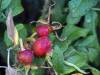 Herbst 22