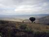 Ngorogoro Krater Tansania Afrika reiselustig