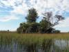 Okavango Delta Botswana Afrika