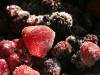 Frost Beeren