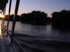 Sambesi Fluss Afrika Zimbabwe