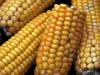 Mais