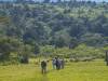 Arusha NP Afrika Tansania