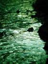 18 Textur Struktur Wasser