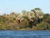 Sambesi Fluss Afrika Zimbabwe