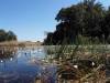Okavango Delta Botswana Afrika