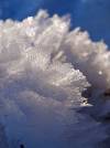 Schnee Winter 16
