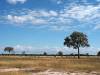 Wasserloch Hwange Nationalpark Simbabwe Afrika