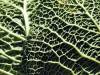 20 Textur Struktur Natur