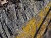 15 Textur Struktur Holz