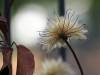 Herbst 17