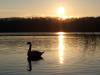 Sonnenuntergang 08