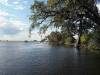 Chobe River Botswana