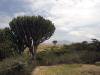 Serengeti Tansania
