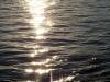 Sambesi Fluss Afrika Zimbabwe