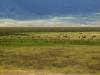 Ngorogoro Afrika Tansania