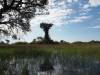 Okavango Delta Botswana Afrika
