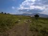 Ngorogoro Afrika Tansania