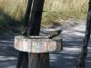 Vogel Hwange Nationalpark Simbabwe Afrika