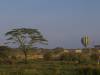 Serengeti NP Afrika Tansania