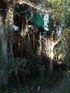 Guma Camp Okavango Delta Botswana Afrika