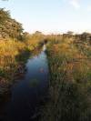 Kwando Namibia Afrika