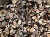 11 Textur Struktur Holz
