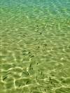 Wasser 04
