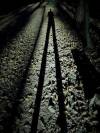 lange Schatten