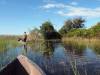 Okavango Delta Botswana Afrika