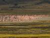 Ngorogoro Krater Tansania Afrika reiselustig