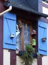 Fenster 05