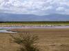 Lake Manyara Afrika Tansania