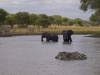 Tranagire NP Afrika Tansania