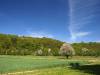 Landschaft Frühling 04