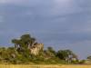 Serengeti NP Afrika Tansania