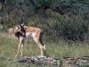 Bwabwata Nationalpark Namibia Afrika