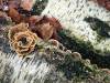 Herbst 03