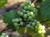 Herbst 21