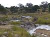 Tarangire NP Afrika Tansania