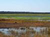 Bwabwata Nationalpark Namibia Afrika